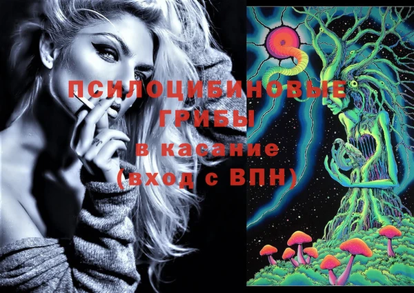дмт Нефтекумск